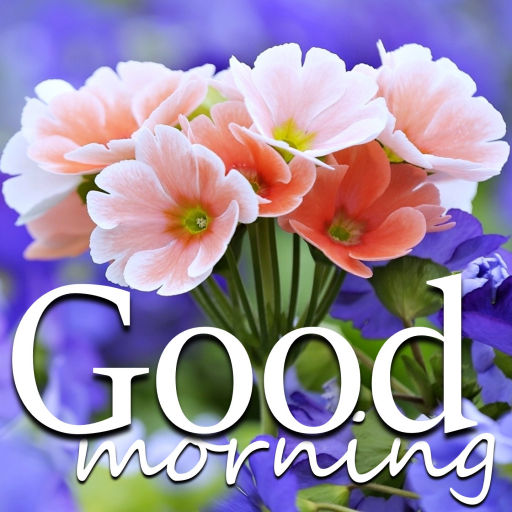 Good Morning Noon Night wishes - Apps on Google Play