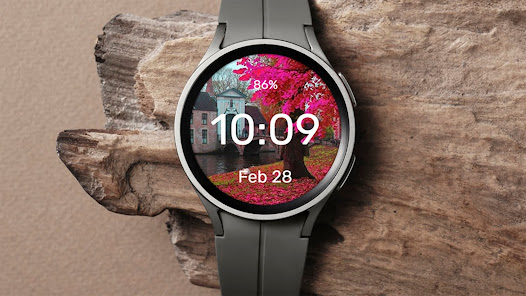 Screenshot image