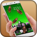 Cockroach On Screen Prank icon