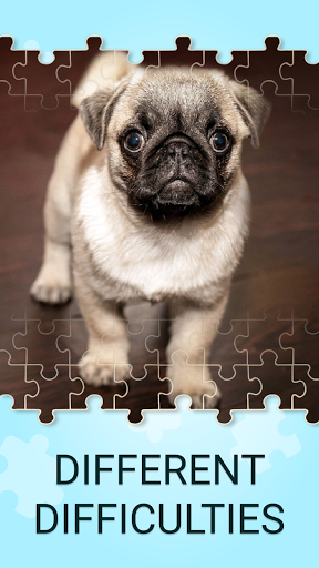 Dog Games Jigsaw Puzzles