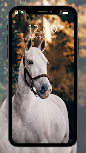 Wallpaper Kuda Screen 2