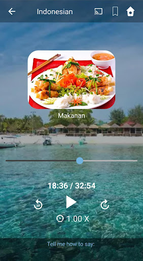Learn Indonesian. Speak Indone Screen 2