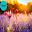 Spring Wallpaper HD 4K 🌸 Download on Windows
