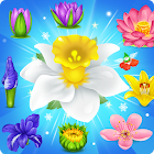 Blossom Charming: Flower games 1.3