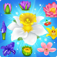 Blossom Charming: Flower games