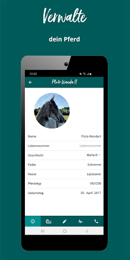 Pferdesporthaus Loesdau Screen 3