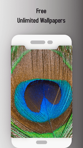 Love bird Live wallpaper Screen 2