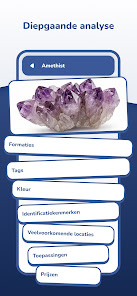 Screenshotafbeelding