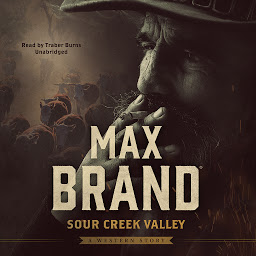Icon image Sour Creek Valley: A Western Story