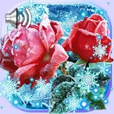 Roses Snow Winter Live Wallpaper icon
