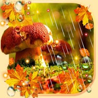 Осенний дождь Живые Обои