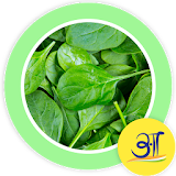 Tasty Palak Spinach Recipes icon