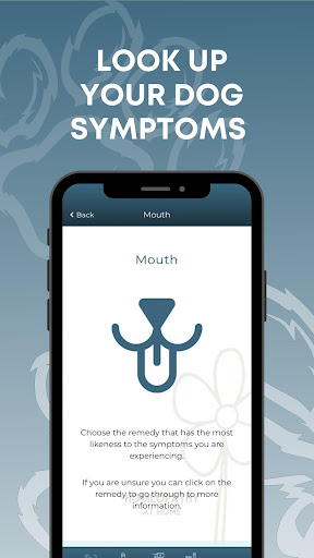 Homeopathy For Dog Owners