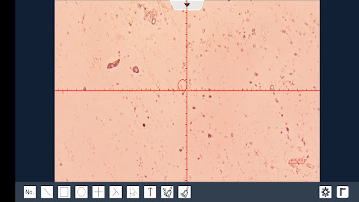 Android application SunnyScope screenshort