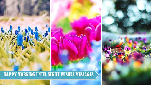 Android application Good Morning Noon Night Cards screenshort