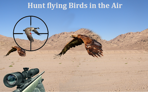 Desert Birds Sniper Hunter For PC installation