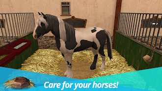 Game screenshot Horse World: My Riding Horses mod apk
