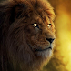 2022 Wallpapers Lion Predatory - Androidアプリ