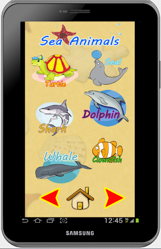 Sea Animals & Shark Fishing Screen 3