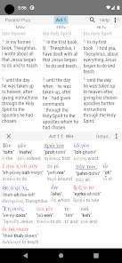 Captura de Pantalla 6 Parallel Plus® Bible-study app android