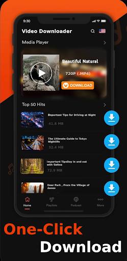 All Video Downloader Screen 2