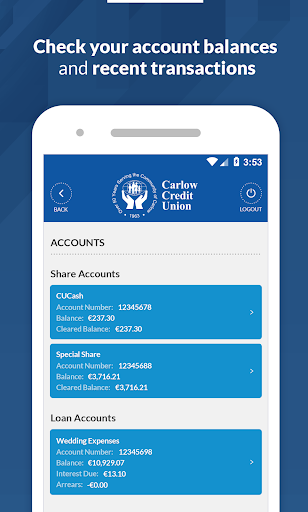 Carlow Credit Union Screen 2