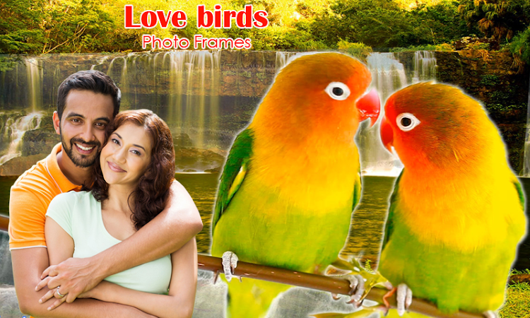 Love Birds Photo Frames - 1.0.6 - (Android)