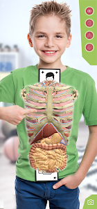 Anatomia Super