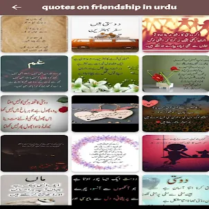 citações sobre amizade em urdu