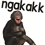 Cover Image of Tải xuống Stiker Monyet Monkey Lucu WA  APK