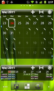 Pure Grid calendar widget Screenshot