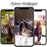 Cover Image of Herunterladen Kitten Wallpaper HD  APK