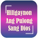 Hiligaynon Bible (Ilonggo) icon
