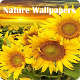 Nature Wallpapers HD icon