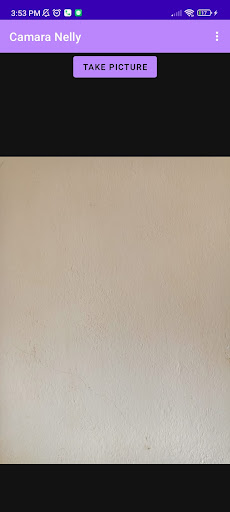 camaranelly Screen 2