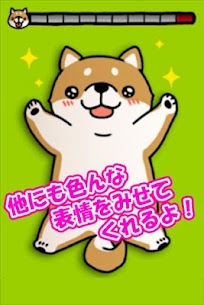 Tickling dog For PC 3