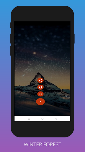 Winter Forest Wallpapers 4K