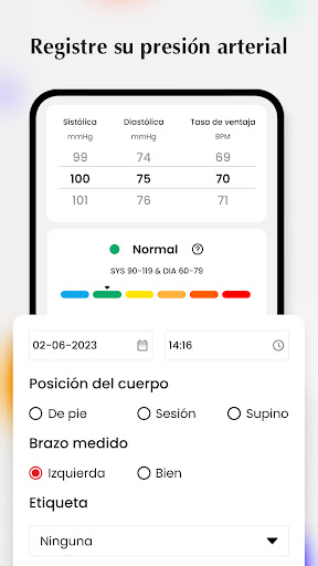 Vista previa de la aplicación