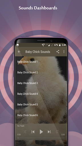 Baby Chick Sounds Screenshot 2 - AppWisp.com