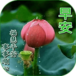 Cover Image of Download 早安晚安 17.5.2 APK