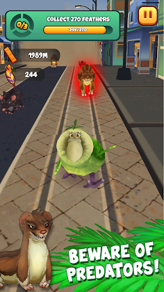 Kakapo Run - Screenshot 2