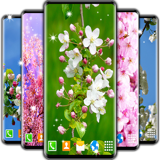 Cherry Blossom Live Wallpaper Spring Wallpaper Google Play のアプリ