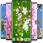 Cover Image of Baixar Papel de parede animado de flor de cerejeira 6.7.8 APK