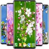 Cherry Blossom Live Wallpaper 🌸 Spring Wallpaper icon