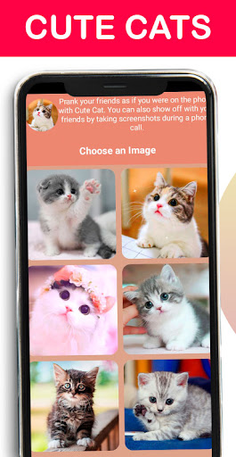 Cute Cat Fake Call