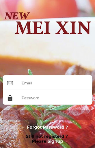 New Mei Xin Screen 3
