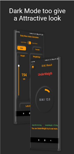 Screenshot of BMI Calculator