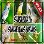 Cover Image of Скачать Suara Pikat Semua Jenis Burung Paling Ampuh 1.2 APK