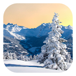 Cover Image of Download Winter Live Wallpaper  APK