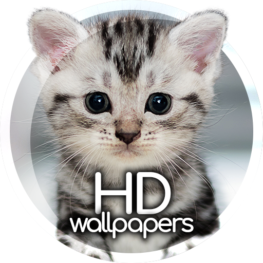 Cute animals wallpapers  Icon